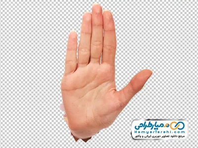 عکس با کیفیت دست راست بیرون آمده از کاغذ با کف دست با فرمت png