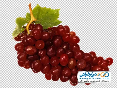 عکس با کیفیت انگور قرمز با فرمت png
