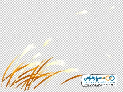 دانلود تصویر وکتوری نی طلایی در مزرعه پاییزی
