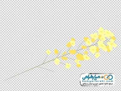 دانلود تصویر وکتوری شاخه گل کلزا