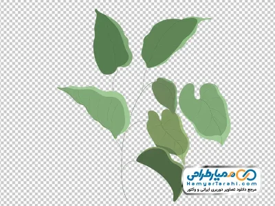 تصویر وکتوری ساقه گیاه برگ دار با فرمت png