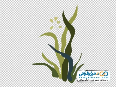 تصویر وکتوری جلبک سبز دریایی با فرمت png