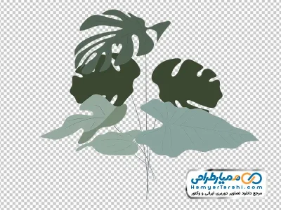تصویر وکتوری برگ مانسترا با فرمت png