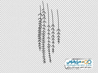 تصویر وکتوری برگ های آویزان پیچک دودل با فرمت png