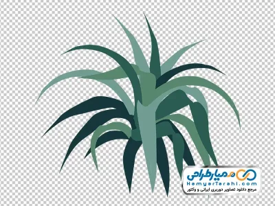 تصویر وکتوری گیاه آگاو کوتوله با فرمت png