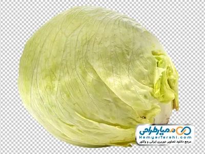 دانلود عکس png کاهو پیچ
