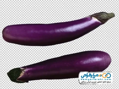 دانلود عکس png بادمجان قلمی