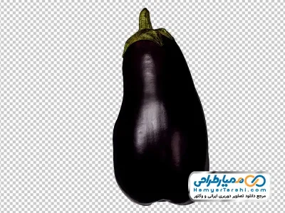 دانلود عکس png بادمجان دلمه ای