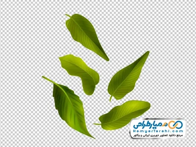 فایل عکس وکتوری برگ های سبز