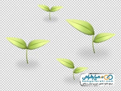 عکس وکتوری جوانه گیاه با فرمت png