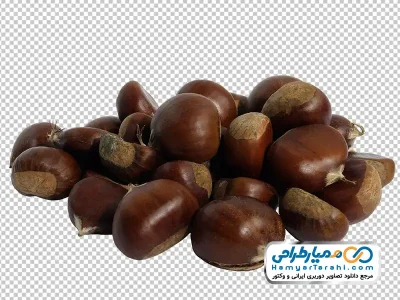 تصویر png شاه بلوط چینی