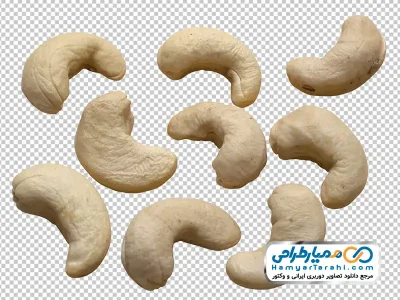 تصویر با کیفیت بادام هندی خام