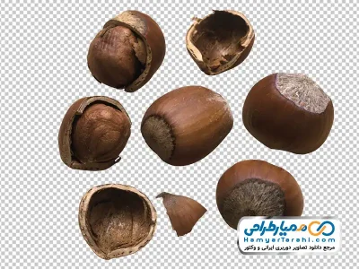 عکس با کیفیت فندق با فرمت png