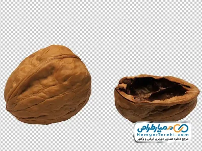 عکس با کیفیت گردو با فرمت png