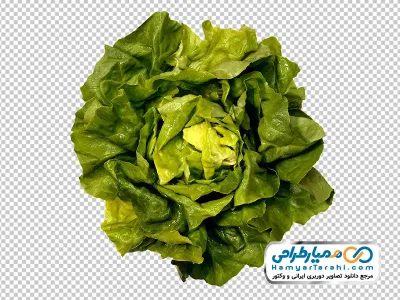 عکس png کاهو از نمای بالا