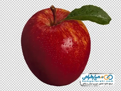 عکس سیب درختی قرمز با فرمت png