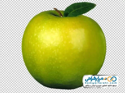 دانلود عکس png سیب درختی سبز