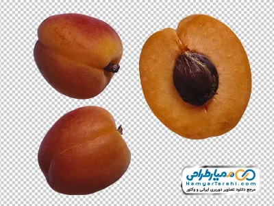 دانلود تصویر png زردآلو