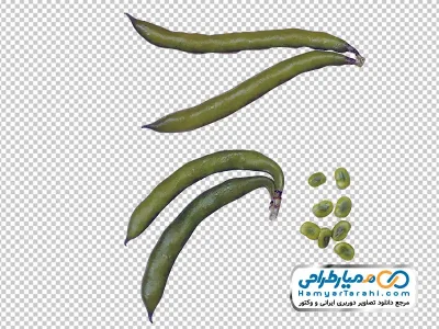 عکس با کیفیت باقالی