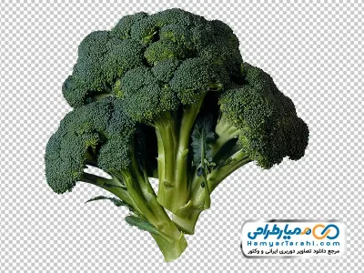 تصویر png کلم بروکلی