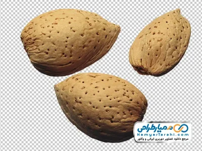 دانلود عکس png بادام با پوست
