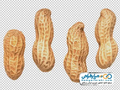 دانلود تصویر با کیفیت بادام زمینی با پوست