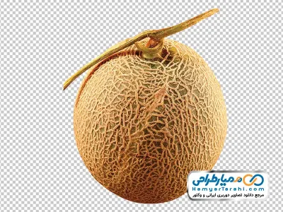 دانلود تصویر با کیفیت خربزه