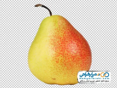 تصویر png گلابی