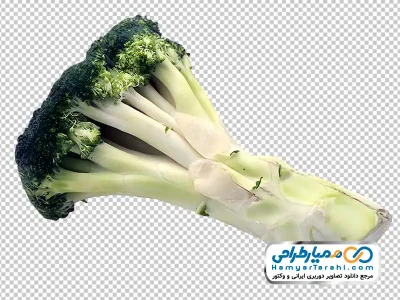 دانلود عکس بدون پس زمینه کلم بروکلی