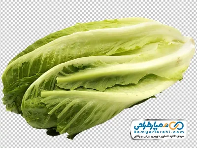 دانلود فایل png کاهو