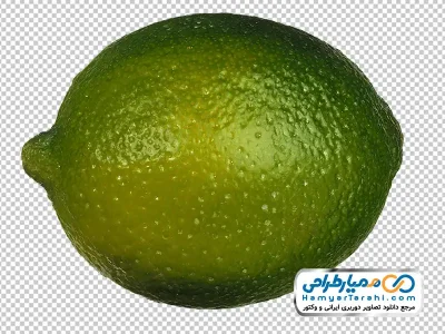 عکس با کیفیت لیموترش سبز