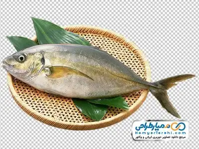دوربری ماهی خام روی تخته آشپزی