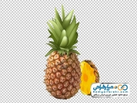 تصویر با کیفیت آناناس