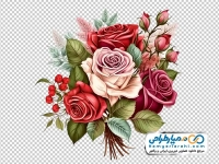 فایل png گل های رز سفید، صورتی و قرمز