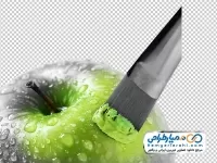 نقاشی سیب و قلمو