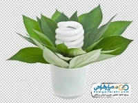 تصویر png گلدان گل و لامپ کم مصرف