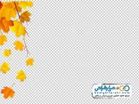 تصویر دوربری شده برگ های زرد پاییزی