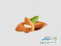 تصویر با کیفیت مغز بادام