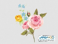 تصویر وکتوری گل های رز صورتی و زرد به همراه غنچه