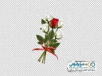 تصویر دوربری گل های رز قرمز و سفید