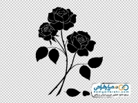 تصویر وکتوری گل رز سیاه