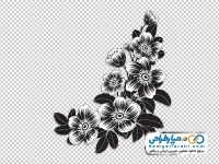 عکس وکتوری گل های سیاه و سفید