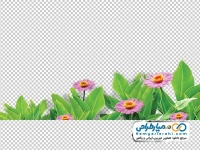 تصویر png زمینه گل برای طراحی
