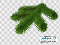 تصویر وکتوری برگ درخت کاج
