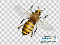 عکس وکتوری زنبور عسل