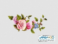 عکس با کیفیت گل با غنچه