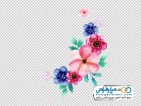 تصویر با کیفیت گل های صورتی و آبی آبرنگی