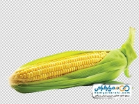 تصویر با کیفیت ذرت