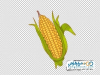 عکس وکتوری ذرت