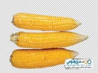 تصویر png ذرت بدون پوست